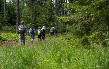 Wanderung Odenwald